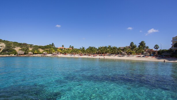 Una platja amb aigua turquesa cristal·lina, palmeres i sombrerelles de platja.