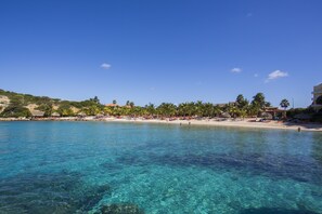 A beach with clear turquoise water, palm trees, and beach umbrellas.