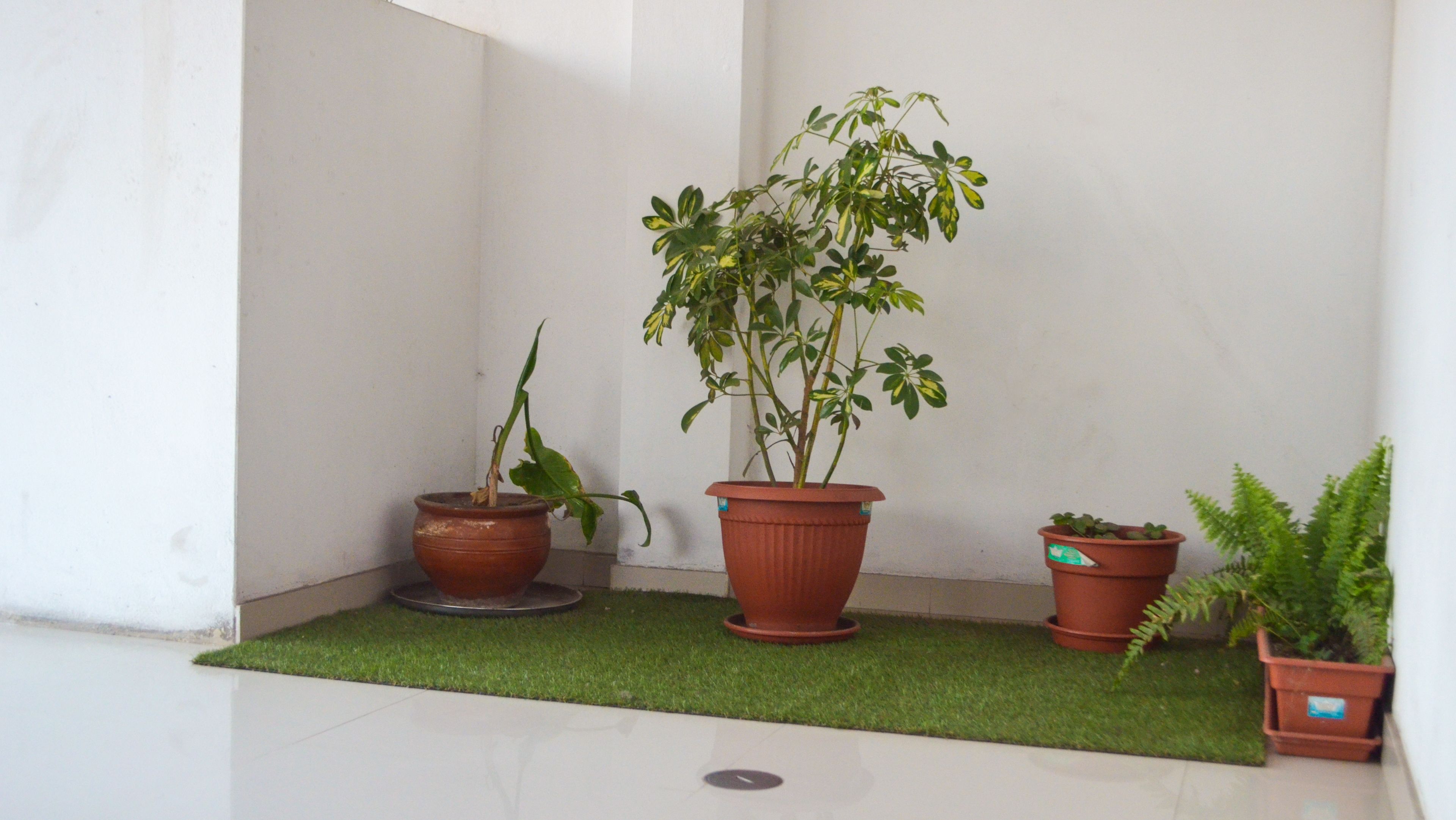 Photo - Rosenverg B&B Tours