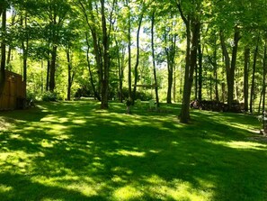 Property grounds - Amazing cabin in the Finger Lakes!  Hiking, wineries, restaurants..etc!  Pets ok (Naples)