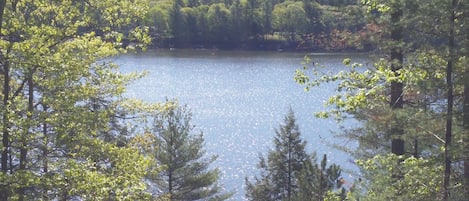 Un lac entouré d’une forêt dense.