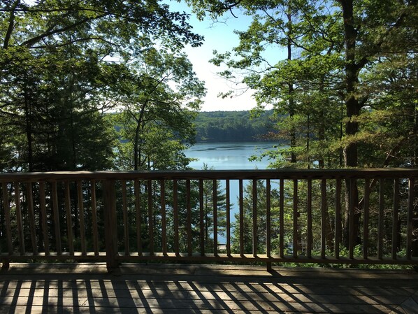 Property grounds - Hidden Gem on Westport Island (Wiscasset)