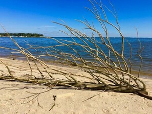 A beach with a fallen tree trunk in the foreground and a clear blue sky.