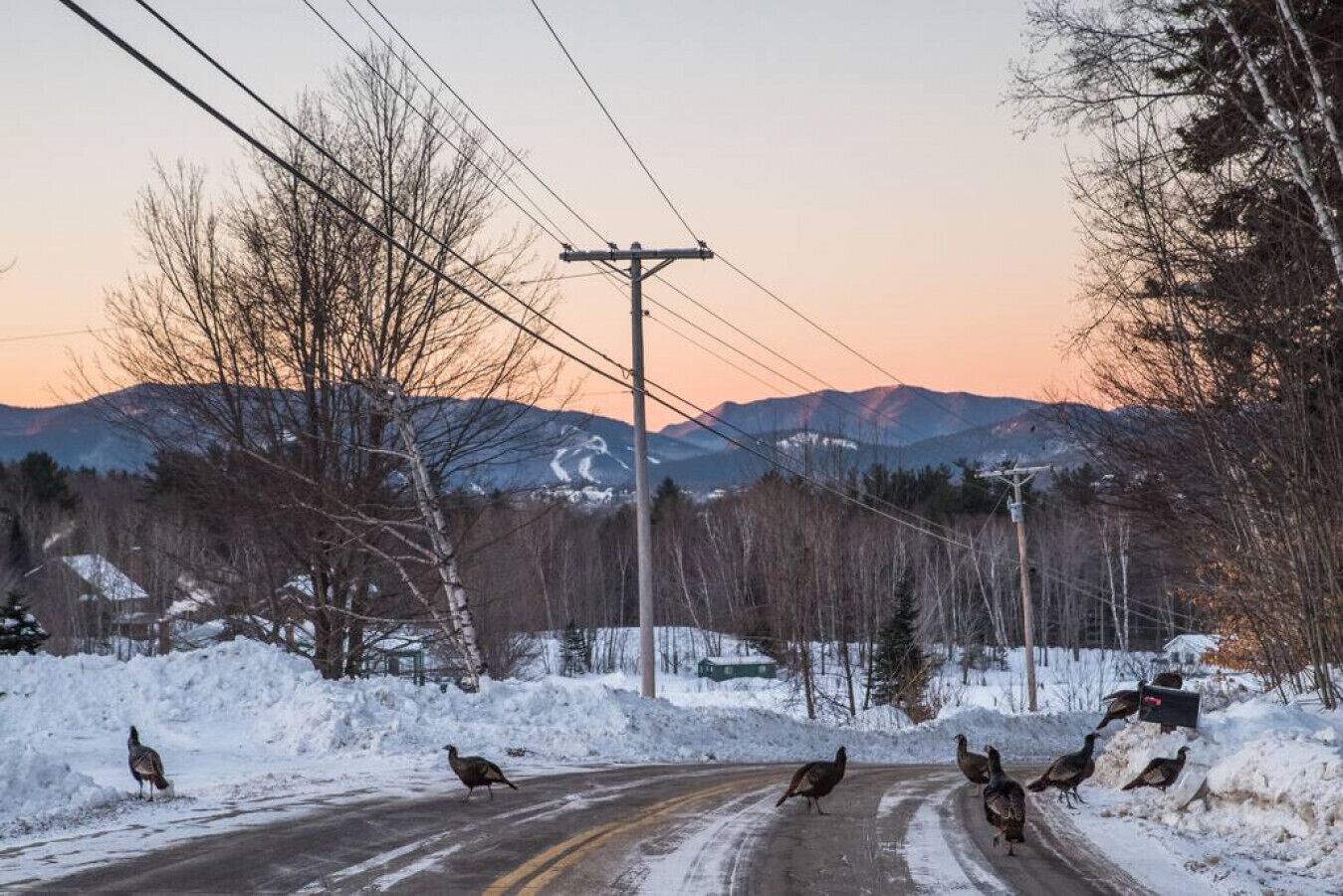 A rural road with snow on the sides and mountains in the background.