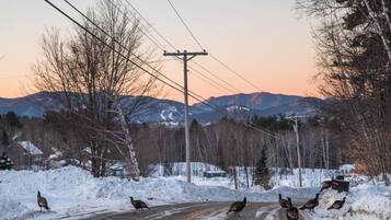A rural road with snow on the sides and mountains in the background.