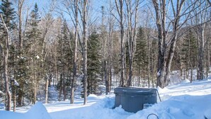Ein schneeüberdeckter Wald mit einem Whirlpool, der im Schnee versinkt.