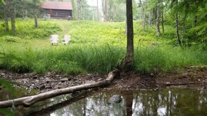 Eine natürliche Landschaft mit Teich, einem umgestürzten Baum und einem Gebäude mit rotem Dach im Hintergrund.