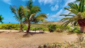 A natural landscape with palm trees, a dirt path, and a hilly background. - modern studio sea view orient bay 50m from the beach (cul de sac)