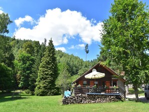 Property grounds - Quiet Chalet with Garden (Turquestein Blancrupt)
