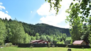 Un paisaje rural con una casa rodeada de un césped cuidado y un bosque denso al fondo.