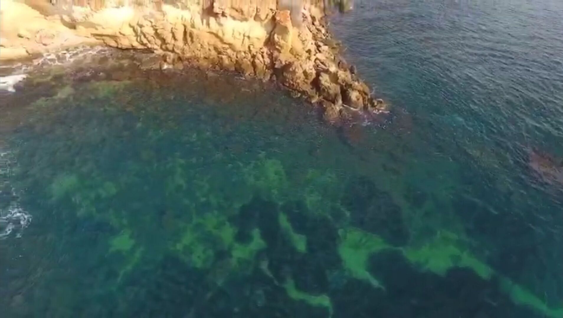 Zona costera con agua cristalina que muestra formaciones rocosas bajo el agua.
