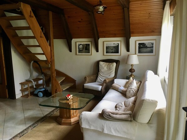 TV, fireplace, video games, DVD player