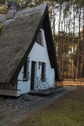 Your family paradise on Usedom am Achterwasser idyllic in the nature reserve