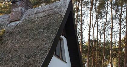 Your family paradise on Usedom am Achterwasser idyllic in the nature reserve