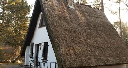 Your family paradise on Usedom am Achterwasser idyllic in the nature reserve