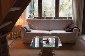 TV, fireplace, video games, DVD player