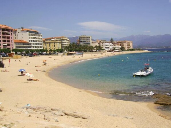 Beach - F4 IN DOWNTOWN, SPACIOUS, QUIET AND SECURE. IDEALLY LOCATED. AMAZING VIEWS (Ajaccio)