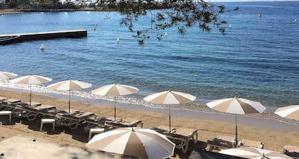 Appartement 2 chambres, villa de charme Ă 50m de la plage / wifi-climatisation