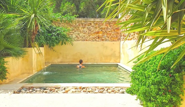 A person in a small, rectangular pool with clear water, surrounded by lush greenery and a stone wall.