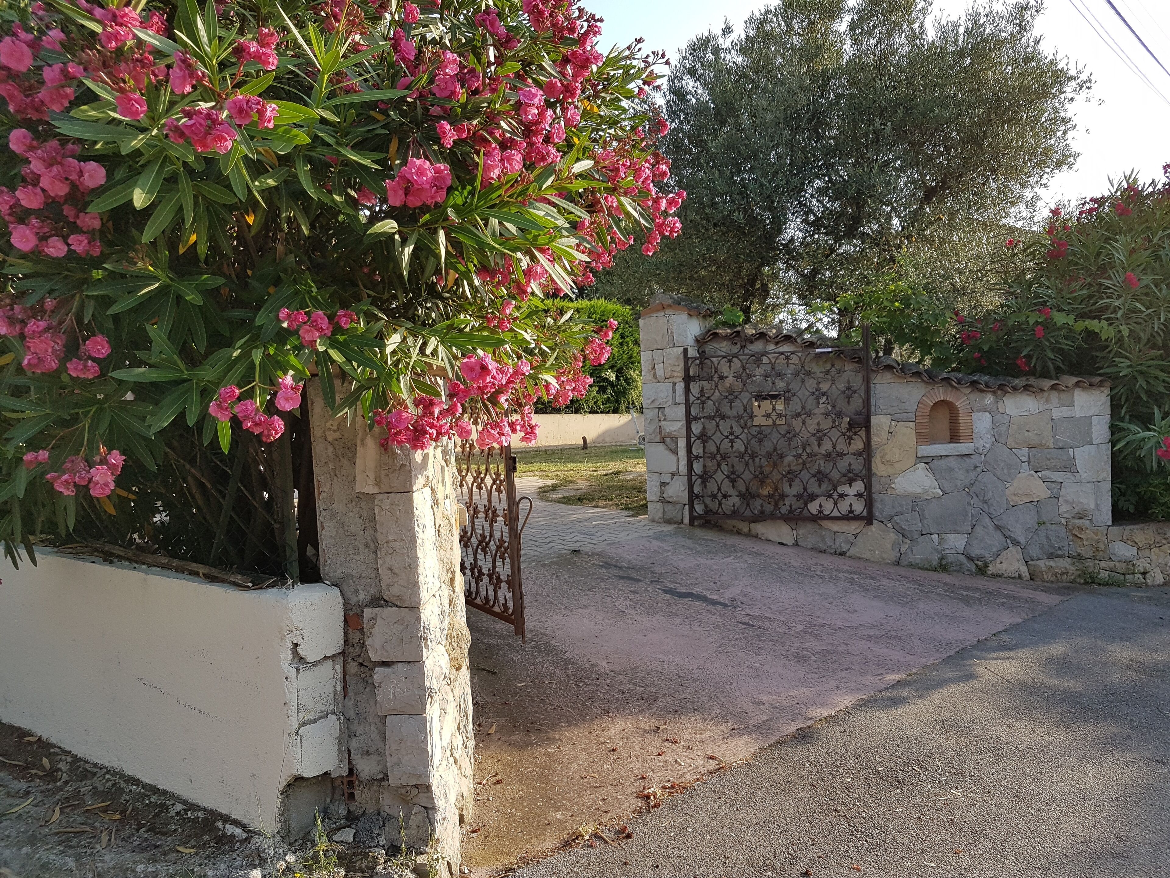 A stone wall with a metal gate, a paved driveway, and a flowering tree.