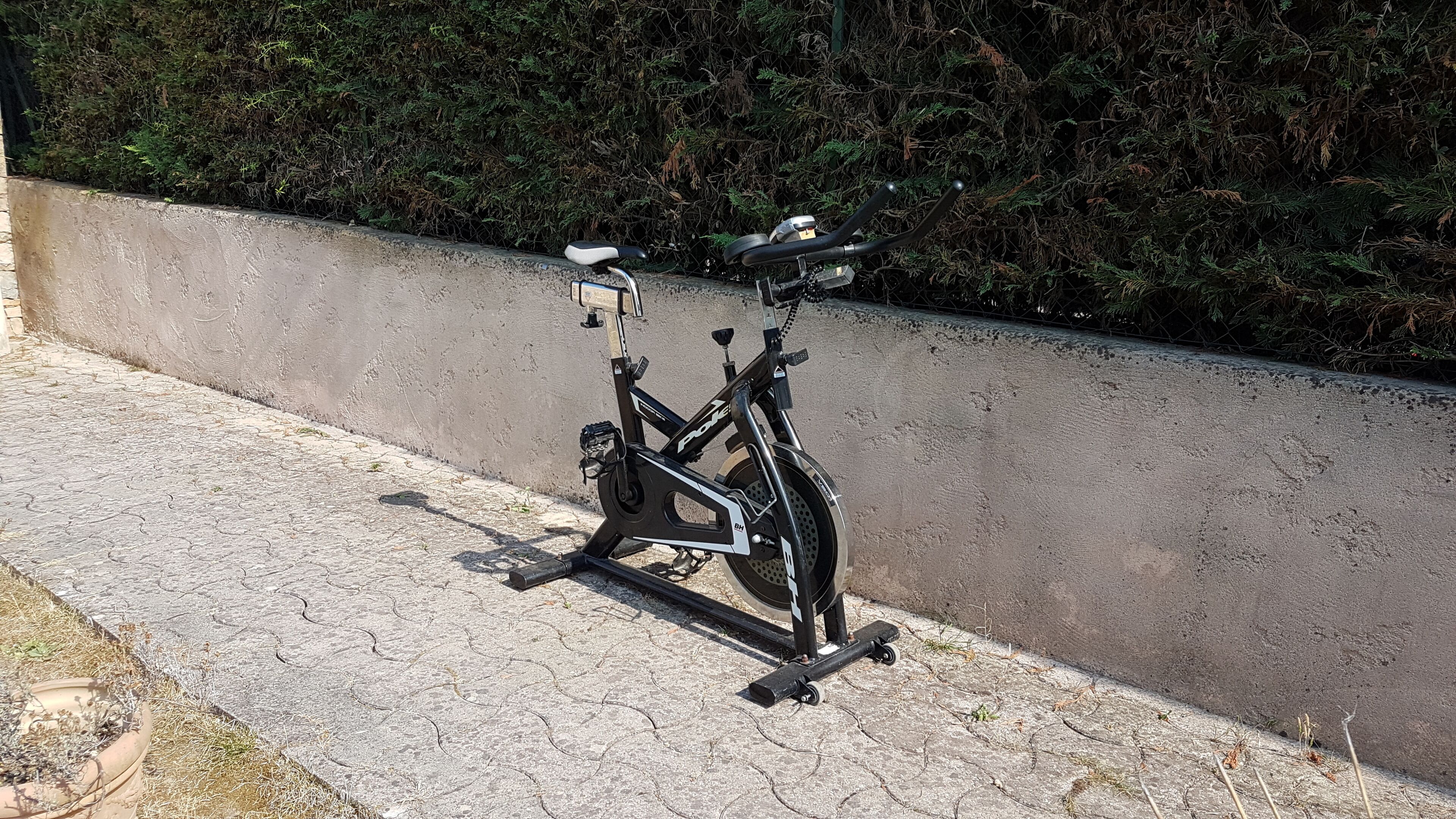 A stationary exercise bike parked on a paved surface next to a concrete wall and dense foliage.