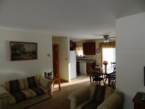 TV, fireplace, DVD player, books