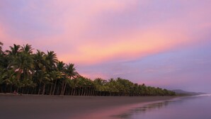 Una playa con palmeras y un atardecer.