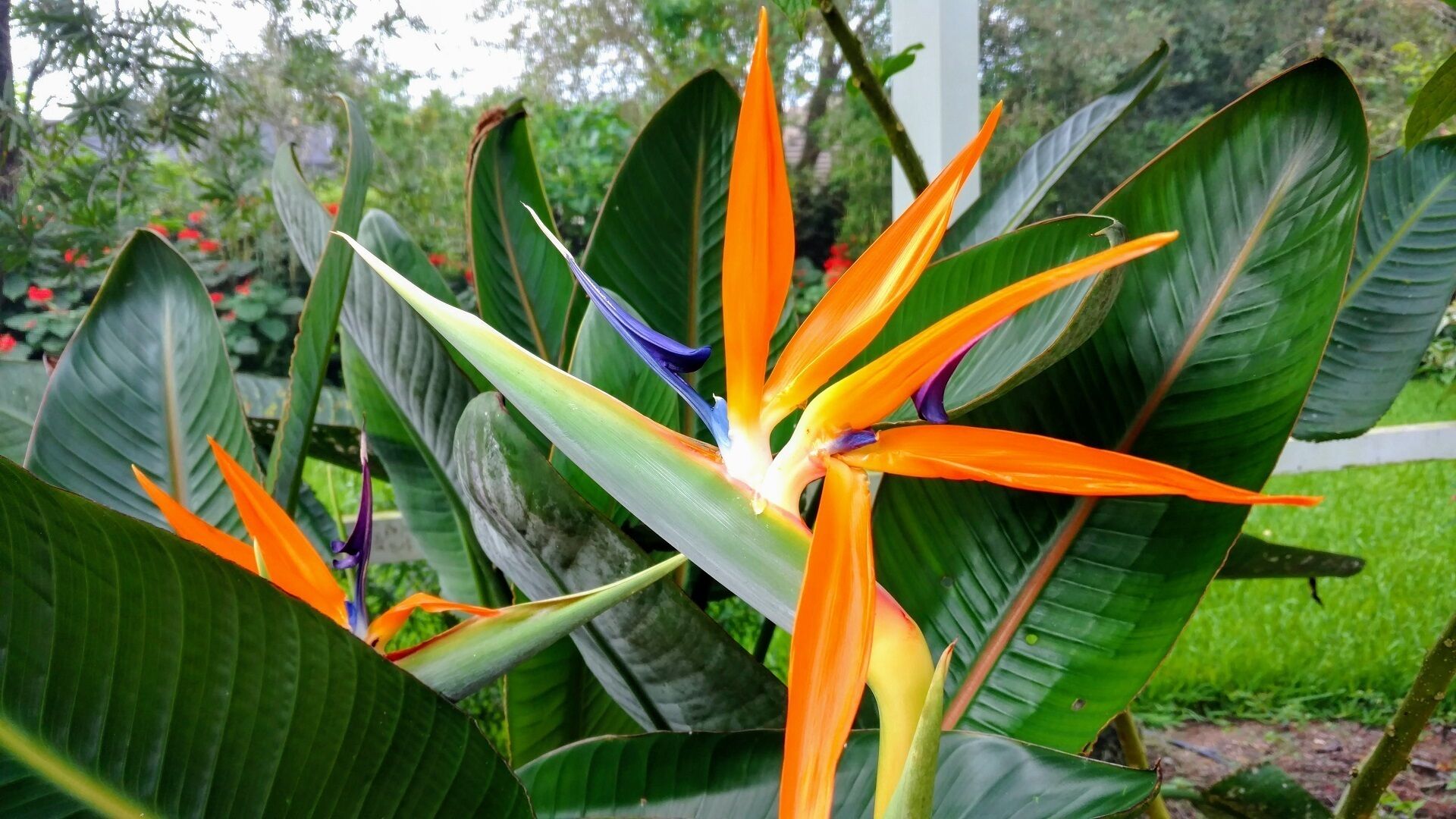The Coolest Place in Paradise on AMI, high speed WI-FI, Smart TV in every room 
