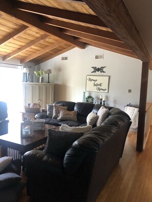 智能电视、壁炉、DVD 播放器