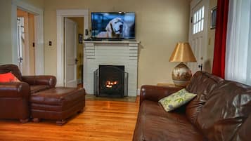 TV connectée, cheminée, livres