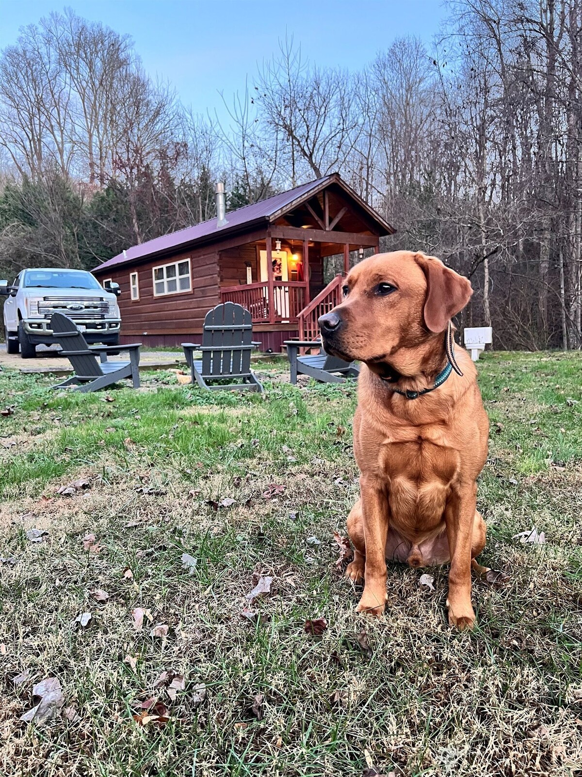 オーナーのプロフィール画像