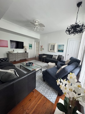 Smart TV, fireplace, books, music library