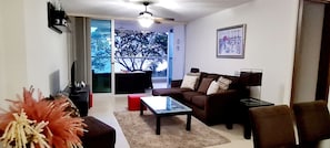 Smart TV, futbolito, mesa de ping pong, libros