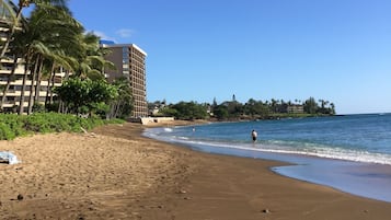 Ubicación cercana a la playa y toallas de playa