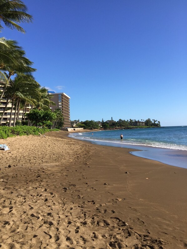 在海灘附近、沙灘巾