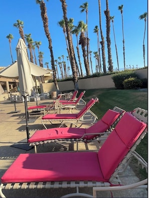 A poolside area with sun loungers and umbrellas, surrounded by tall palm trees.