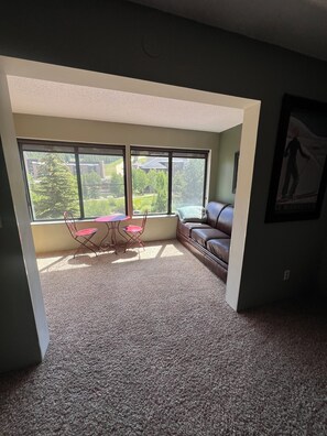 Smart TV, fireplace, DVD player, music library