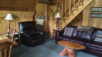 TV connectée, cheminée, lecteur de DVD