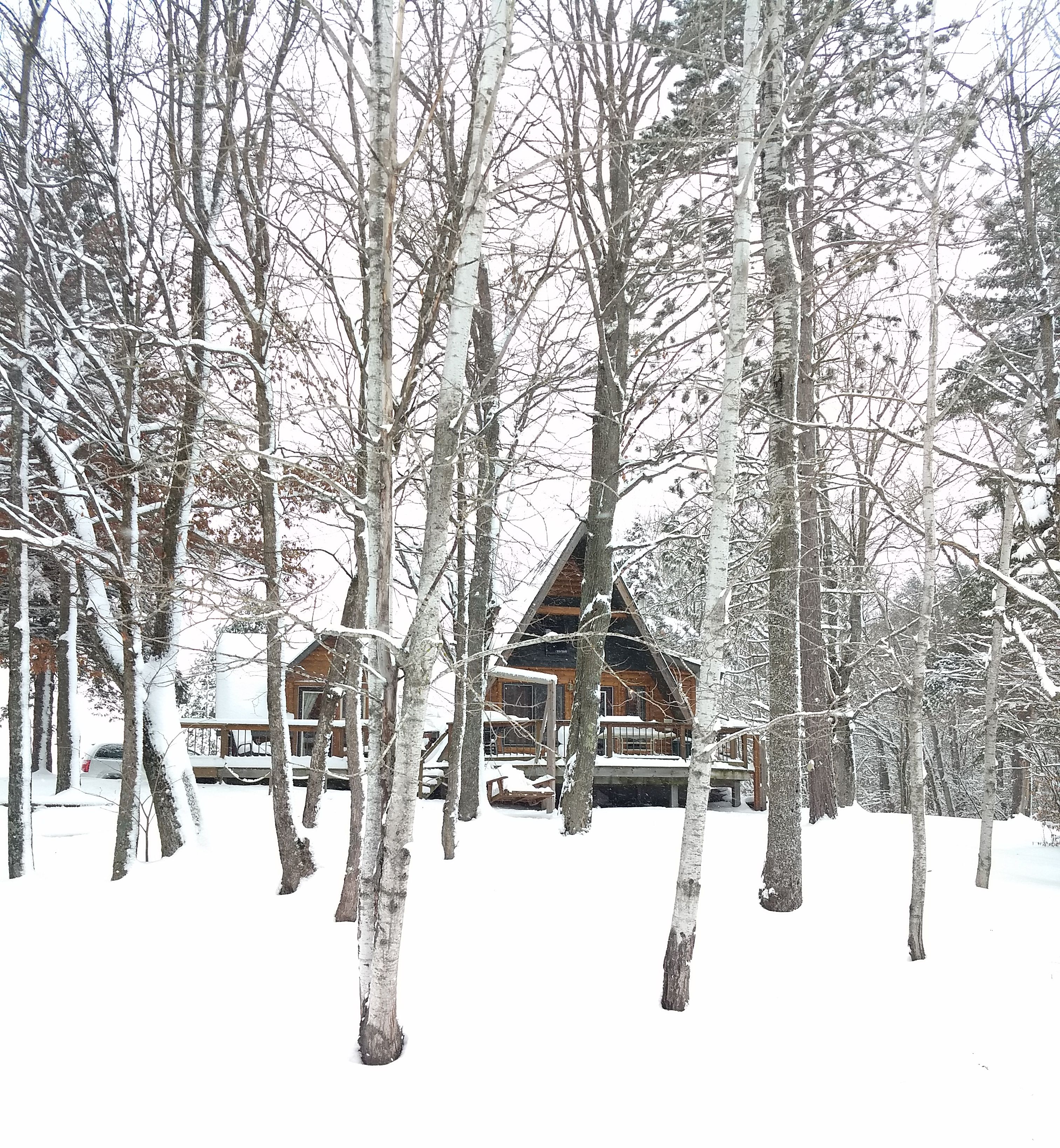A cabin surrounded by snow-covered trees.