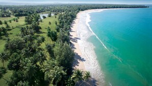 Vista aérea de una zona costera con playa, abundante vegetación y cielo despejado.