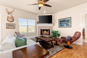 TV, fireplace, DVD player