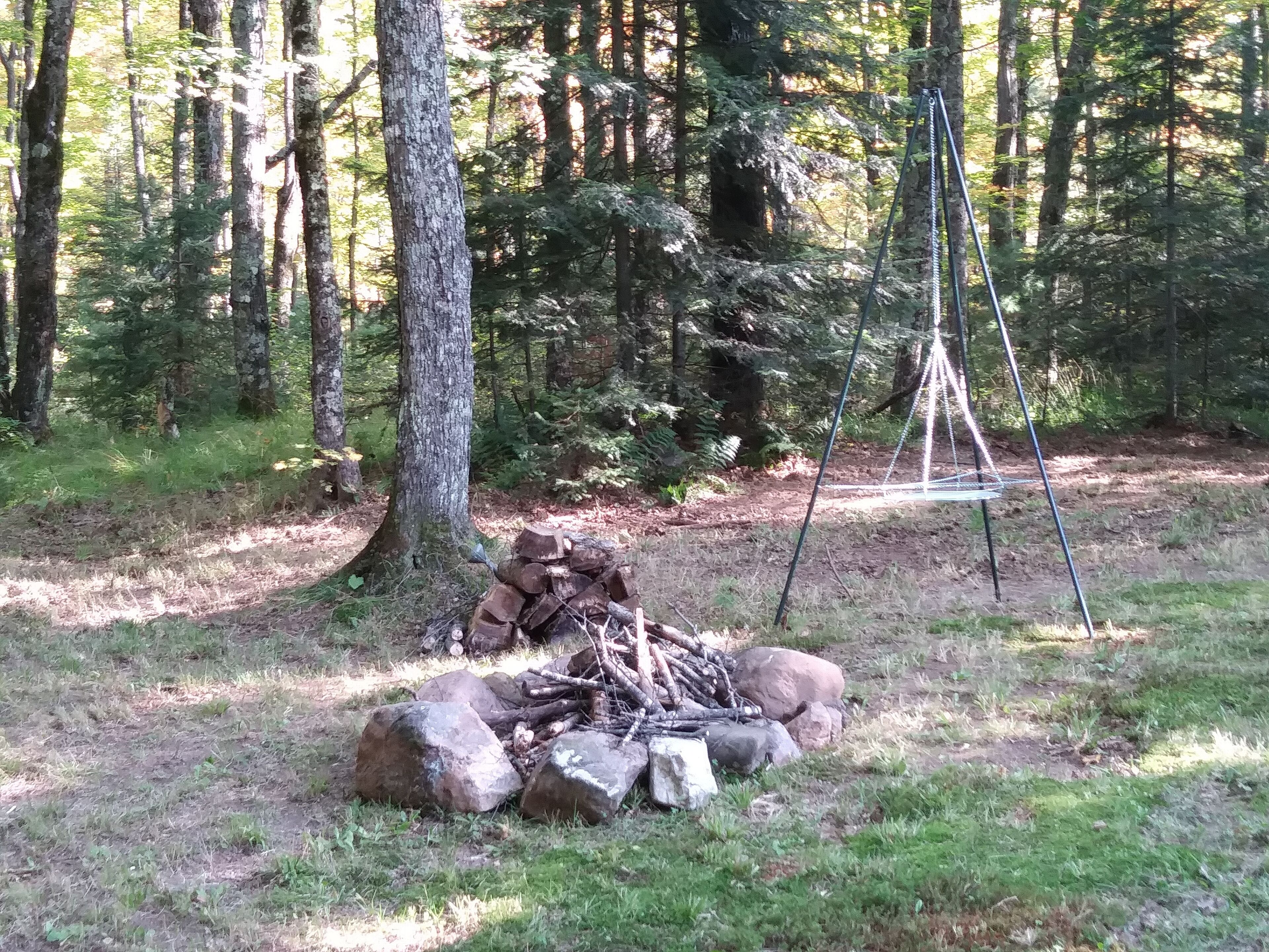A forest with a pile of firewood and a swing set.