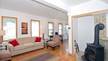 Télévision, cheminée, jeux vidéo, lecteur de DVD