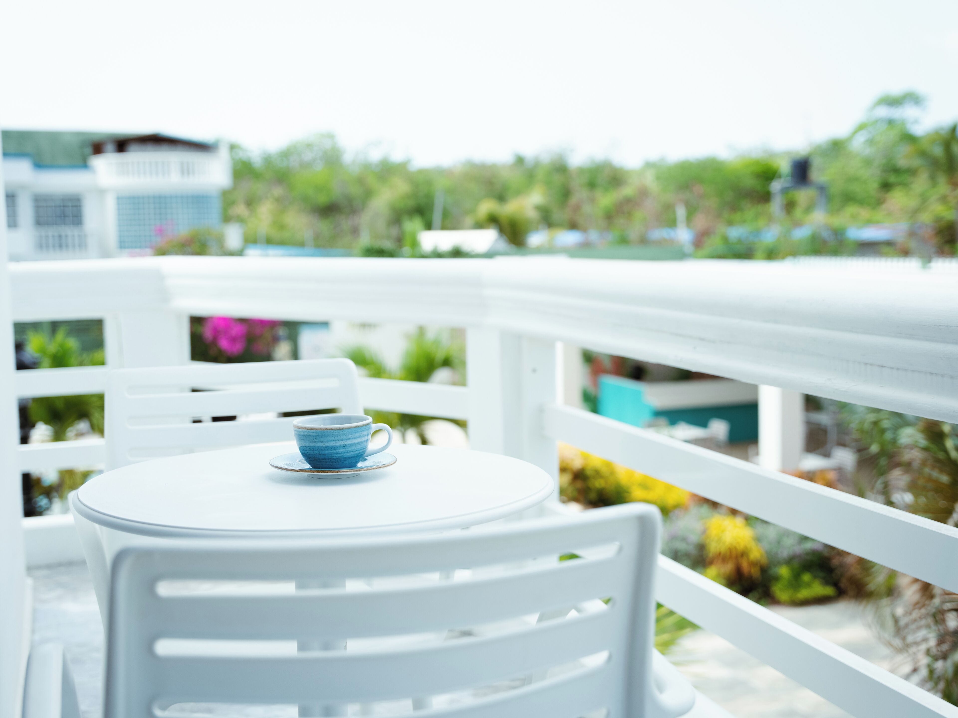 superior room | terrace/patio