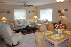 Smart TV, fireplace, DVD player, books