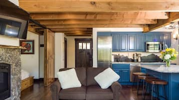 TV, fireplace, Netflix, books