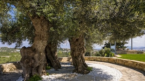 A stone pathway leading to a seating area under large trees, with a view of a distant landscape. - 9 beds, 7 wc, sauna, jacuzzi, pool, cinema, bar, bbq, firepit, helipad, parking (Chania)