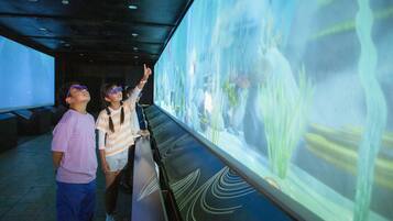 Two people observing a large aquarium display.