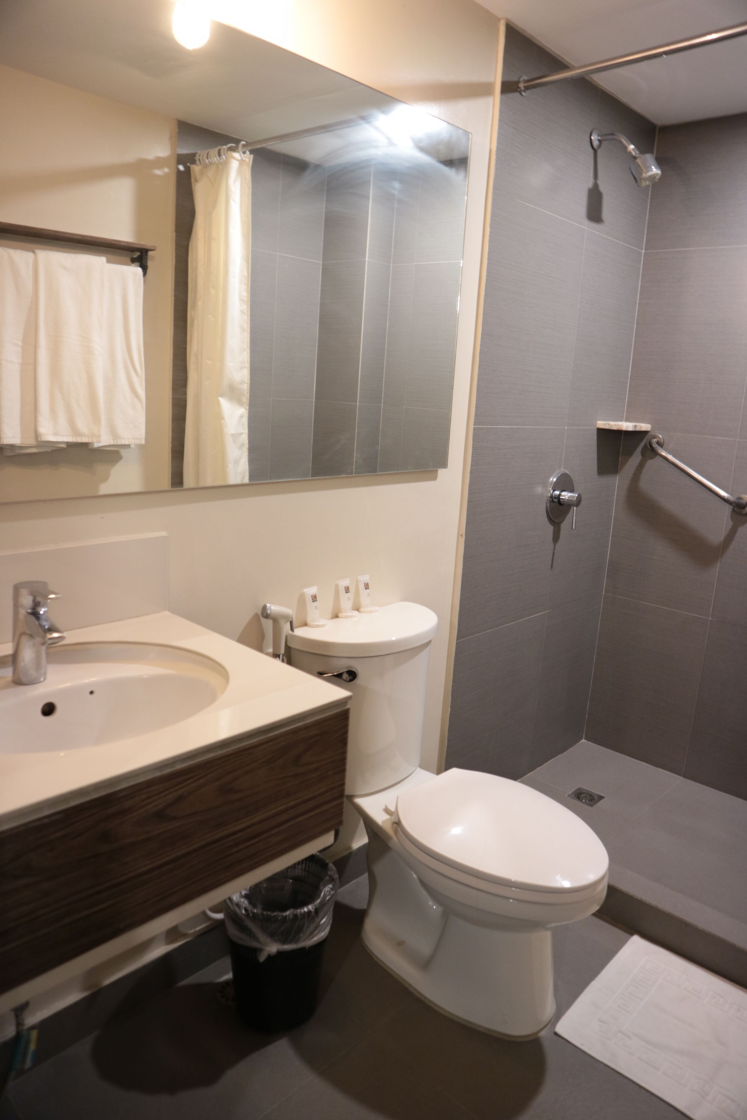 GT Suite | Bathroom | Shower, free toiletries, hair dryer, bidet