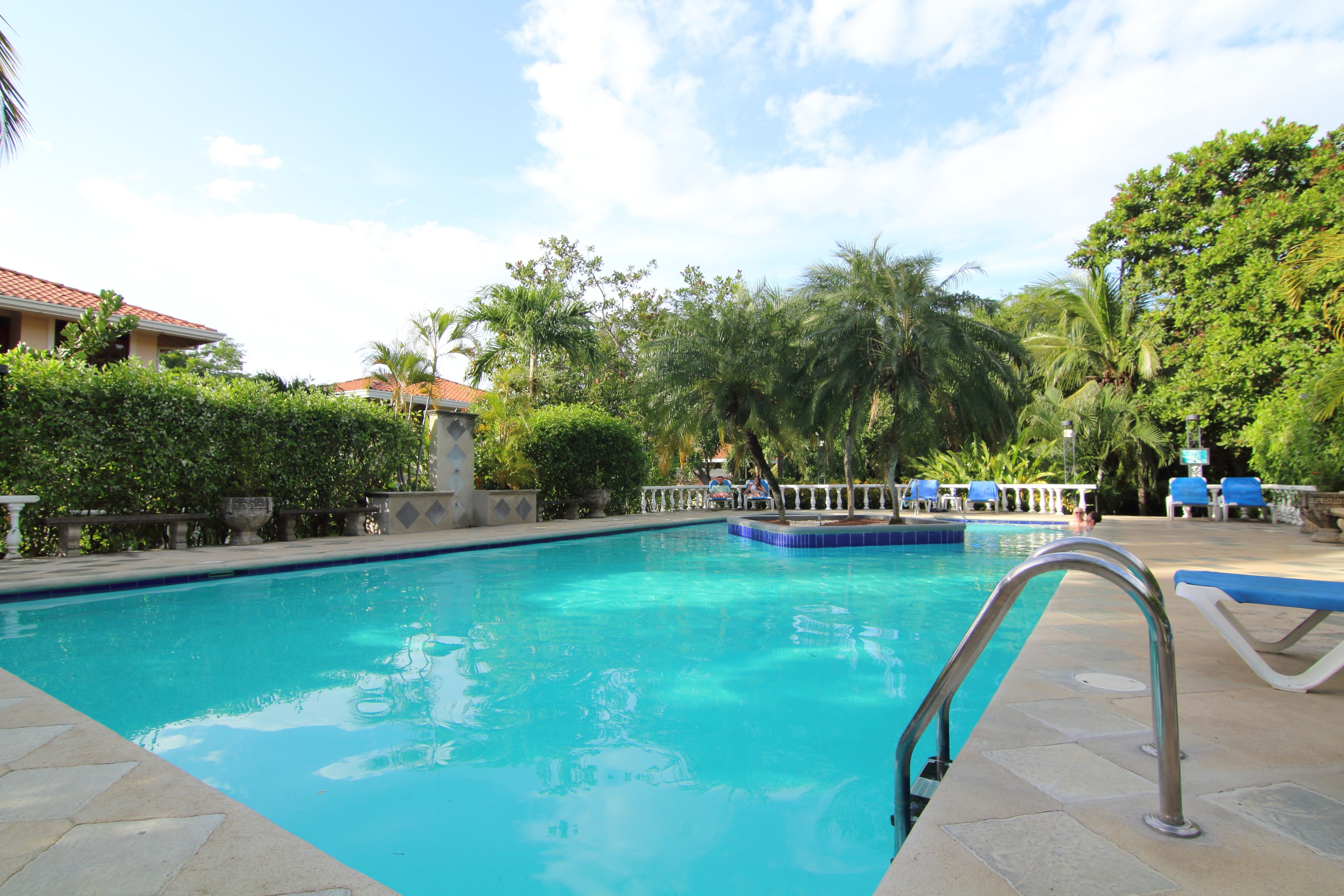 A swimming pool with a metal ladder, surrounded by palm trees and a fence.